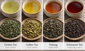 Vier Teesorten: Grüner, Gelber, Oolong und Schwarzer Tee. Der Schwarze Tee, vollständig oxidiert, zeigt eine dunkle Farbe und lässt erahnen, wie er schmeckt.