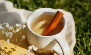 Ein Becher mit warmem Getränk, Zimtstange und Zitronenscheiben. Perfekt, um Zimt-Tee selber machen mit Pulver zu genießen.