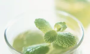 Frischer marokkanischer Minztee, zubereitet mit grünen Minzblättern in einem Glas.