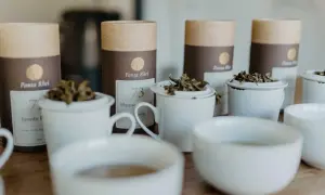 Bereit für den perfekten tee am morgen? Mehrere weiße Teetassen mit losem Tee und braune Röhren mit Teelabeln stehen bereit.