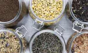 Sechs Gläser mit verschiedenen blattgrad tee Sorten: Kamille, schwarzer Tee, grüner Tee, Rooibos und Kräutermischungen.