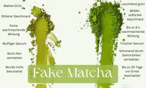 Vergleich von echtem und falschem Matcha: Echter Matcha hat leuchtend grüne Farbe, milder Geschmack und belebende matcha eigenschaften.