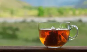 Eine Tasse heißer Schwarztee mit Teebeutel, der im Hintergrund einer grünen Landschaft zieht. Perfekt, um sich zu fragen, wieviel Schwarztee am Tag gesund ist.