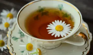 Eine Tasse Kamillentee mit einer Margeritenblüte. Die Frage, wie lange muss Kamillentee ziehen, wird hier visuell beantwortet: kurz genug, damit die Blüte schwimmt.