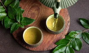 Grüner Tee wird in zwei Schalen gegossen. Welcher Tee ist antibakteriell? Grüner Tee ist bekannt für seine gesundheitlichen Vorteile.