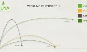Vergleich der teein wirkung: Guayusa, Mate, Kaffee und Tee. Die Grafik zeigt die Intensität über die Zeit.