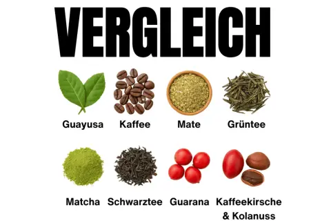 Vergleich von belebenden Getränken: Guayusa, Kaffee, Mate, Grüntee, Matcha, schwarzer Tee, Guarana und Kaffeekirsche & Kolanuss.
