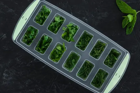 Kräuter wie Petersilie und Dill werden in einer Eiswürfelform vorbereitet, um sie später für Tee einfrieren zu können.