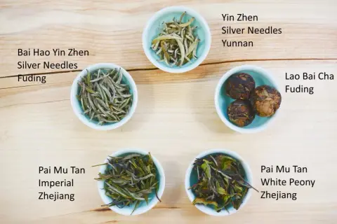 Fünf Schalen mit weißem Tee: Bai Hao Yin Zhen, Yin Zhen, Lao Bai Cha, Pai Mu Tan. Der tee koffeingehalt variiert je nach Sorte.
