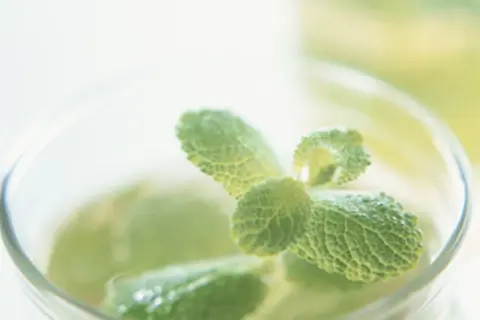 Frischer marokkanischer Minztee, zubereitet mit grünen Minzblättern in einem Glas.