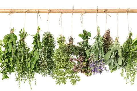 Bündel von Kräutern wie Lavendel und Salbei hängen zum Trocknen. Ein Tee daraus hilft beim tee einschlafen.
