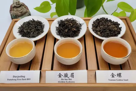 Drei Schalen mit verschiedenen Teesorten: Darjeeling, Jin Jun Mei und Yunnan Golden Snail. Sie zeigen, woraus schwarzer Tee bestehen kann.