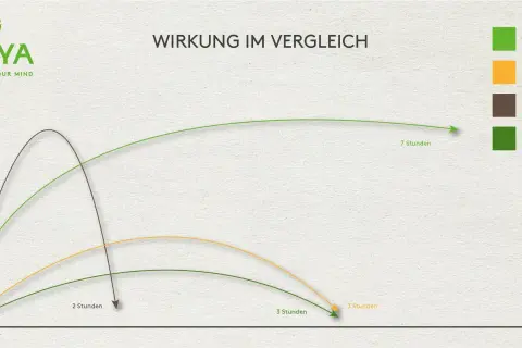 Vergleich der teein wirkung: Guayusa, Mate, Kaffee und Tee. Die Grafik zeigt die Intensität über die Zeit.