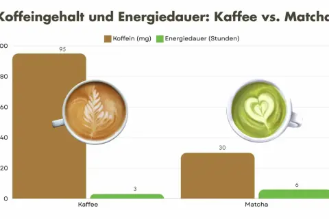 Kaffee vs. Matcha: Koffeingehalt und Energiedauer. Matcha gesund oder nicht? Kaffee hat 95mg Koffein, Matcha 30mg. Energiedauer: Kaffee 3h, Matcha 6h.
