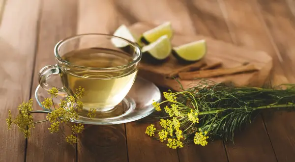 Fencheltee mit Limettenspalten und frischem Fenchel. Die Fenchel Wirkung auf Hormone wird oft geschätzt.
