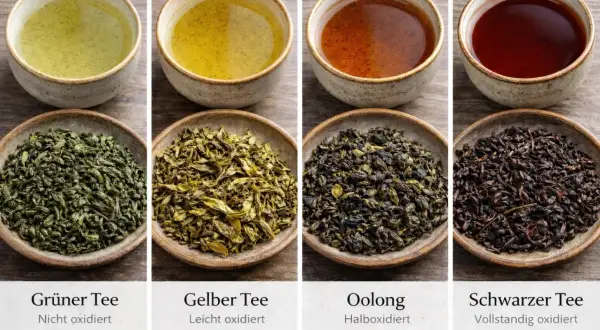 Vier Teesorten: Grüner, Gelber, Oolong und Schwarzer Tee. Der Schwarze Tee, vollständig oxidiert, zeigt eine dunkle Farbe und lässt erahnen, wie er schmeckt.