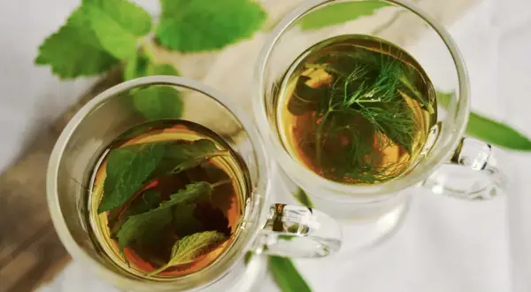 Zwei Gläser mit Kräutertee, lose zubereitet ohne Sieb. Eines mit Minze, das andere mit Dill.