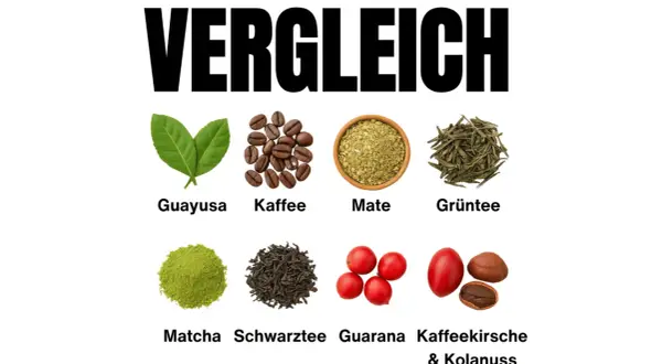 Vergleich von belebenden Getränken: Guayusa, Kaffee, Mate, Grüntee, Matcha, schwarzer Tee, Guarana und Kaffeekirsche & Kolanuss.