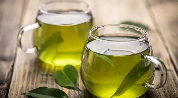 Zwei Tassen grüner Tee mit frischen Blättern. Manche sagen, grüner Tee macht dick, aber er ist doch so erfrischend!