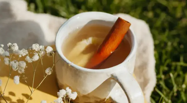 Ein Becher mit warmem Getränk, Zimtstange und Zitronenscheiben. Perfekt, um Zimt-Tee selber machen mit Pulver zu genießen.