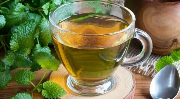 Ein Glas dampfender Kräutertee, umgeben von frischer Minze, lädt zum Genuss ein. Beispiele für Teemischungen wie diese sind perfekt für entspannte Momente.
