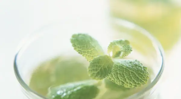 Frischer marokkanischer Minztee, zubereitet mit grünen Minzblättern in einem Glas.