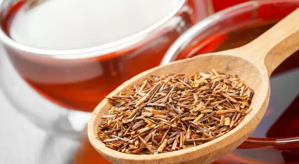 Rooibos Tee: Wirkung Schlafen. Eine Holzschaufel voller Rooibos-Blätter neben einer Tasse des roten Tees.