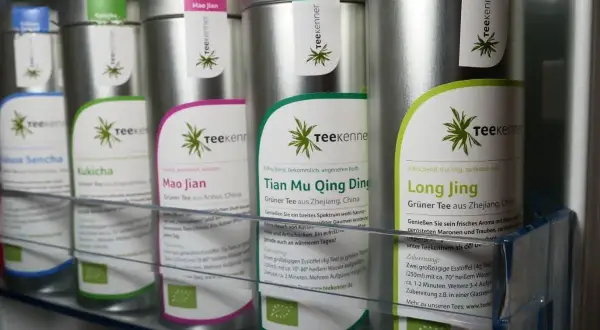 Reihe von Teedosen, die verschiedene Teesorten wie Sencha, Kukicha, Mao Jian, Tian Mu Qing Ding und Long Jing lagern.