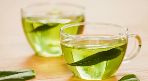 Zwei Gläser mit grünem Tee, welcher Tee regt den Stoffwechsel an? Grüner Tee mit Blättern.