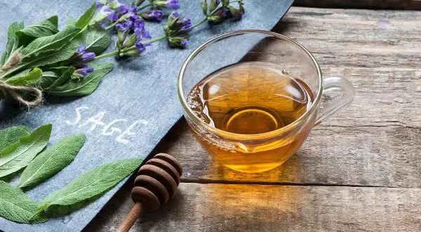 Ein Glas Salbei Tee, der zu lange ziehen gelassen wurde, mit frischem Salbei und Honig auf einem Holztisch.