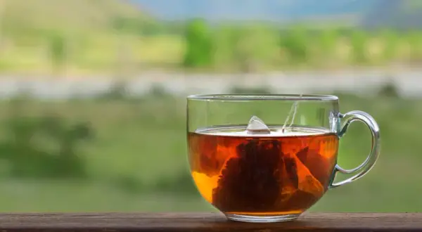 Eine Tasse heißer Schwarztee mit Teebeutel, der im Hintergrund einer grünen Landschaft zieht. Perfekt, um sich zu fragen, wieviel Schwarztee am Tag gesund ist.