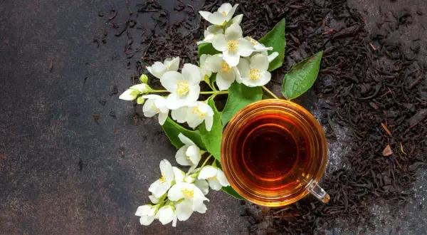 Eine Tasse Jasmintee neben frischen Blüten. Die beruhigende Jasmin tee wirkung macht ihn zum perfekten Genuss.