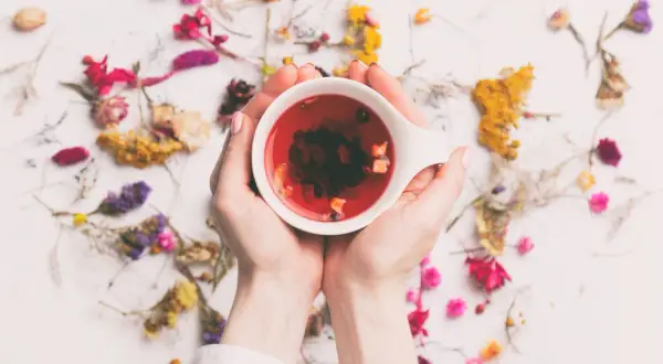 Hände halten eine Tasse mit rotem Tee, umgeben von getrockneten Blumen. Ein perfekter Tee am Morgen für einen frischen Start.