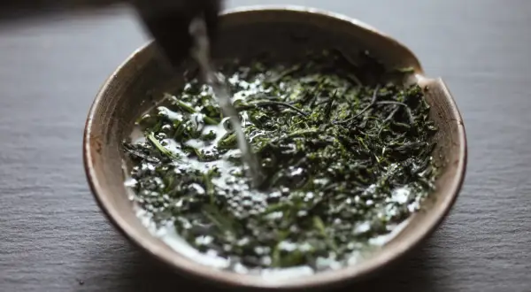 Wasser fließt in eine Schale mit grünen Teeblättern für die Gyokuro Zubereitung.