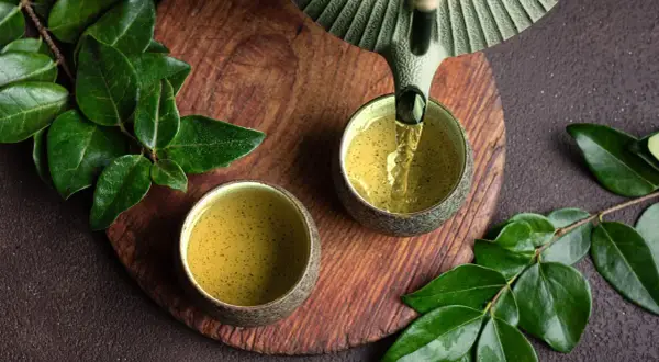Grüner Tee wird in zwei Schalen gegossen. Welcher Tee ist antibakteriell? Grüner Tee ist bekannt für seine gesundheitlichen Vorteile.