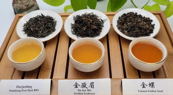 Drei Schalen mit verschiedenen Teesorten: Darjeeling, Jin Jun Mei und Yunnan Golden Snail. Sie zeigen, woraus schwarzer Tee bestehen kann.