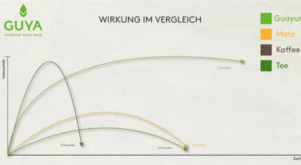 Vergleich der teein wirkung: Guayusa, Mate, Kaffee und Tee. Die Grafik zeigt die Intensität über die Zeit.