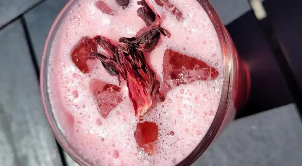 Erfrischendes Hibiskusgetränk mit Eis und getrockneten Blüten. Perfekt für leichte Hibiskus Rezepte.