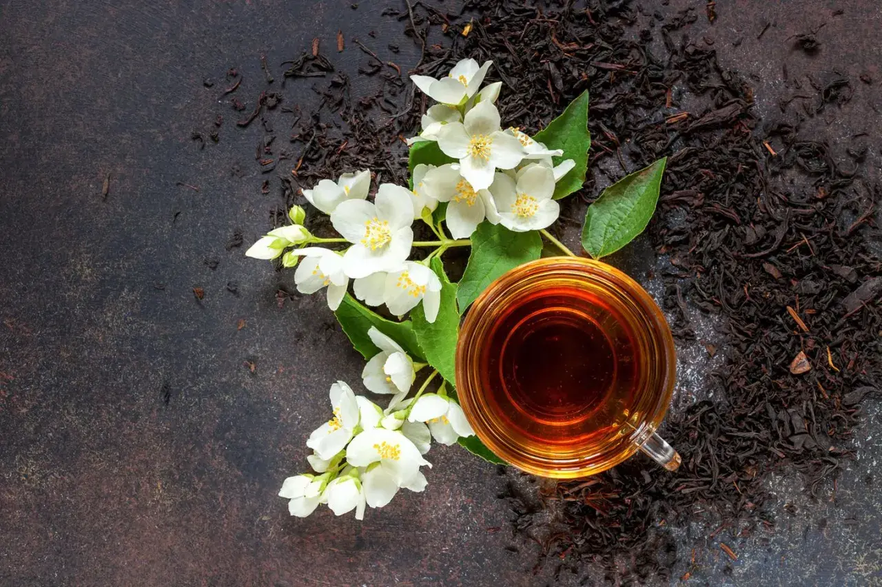 Ein Glas Jasmintee neben frischen Blüten und losem Tee. Jasmintee gesund und aromatisch.