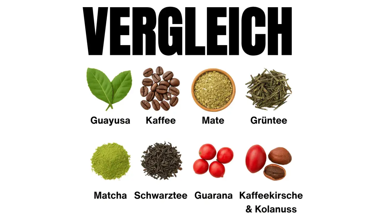 Vergleich von belebenden Getränken: Guayusa, Kaffee, Mate, Grüntee, Matcha, schwarzer Tee, Guarana und Kaffeekirsche & Kolanuss.