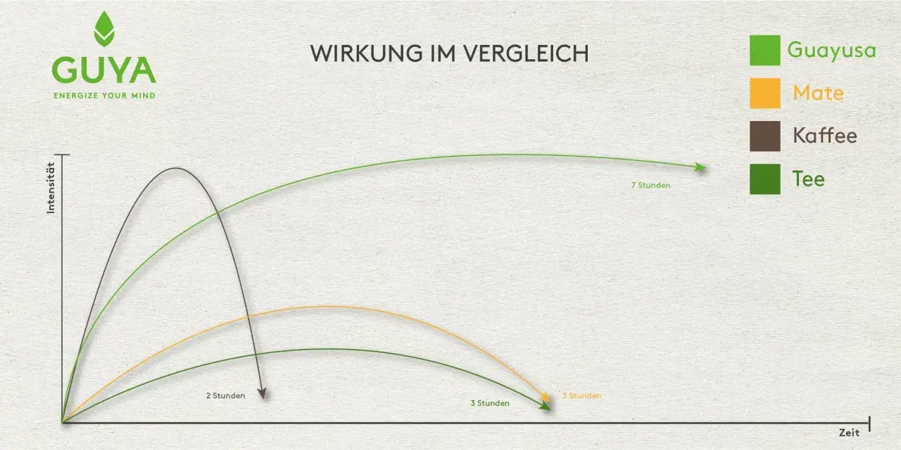 Vergleich der teein wirkung: Guayusa, Mate, Kaffee und Tee. Die Grafik zeigt die Intensität über die Zeit.