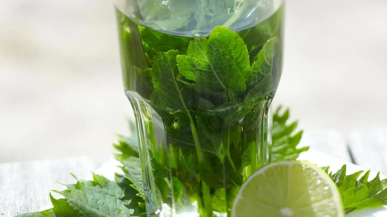 Frische Minze zieht im Glas, daneben eine Limettenscheibe. Erfrischender Durstlöscher.