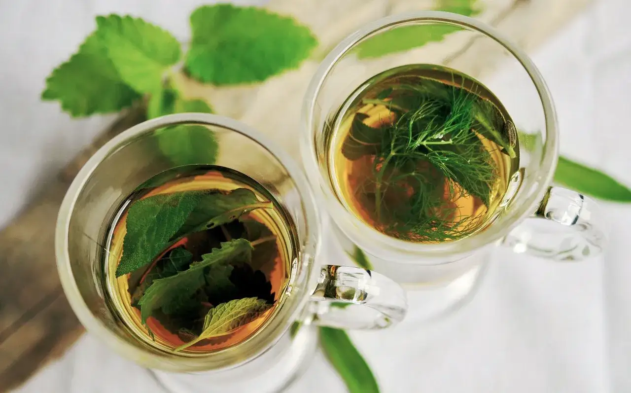 Zwei Gläser mit Kräutertee, einer mit Salbei, der zu lange ziehen gelassen wurde, und der andere mit Dill.