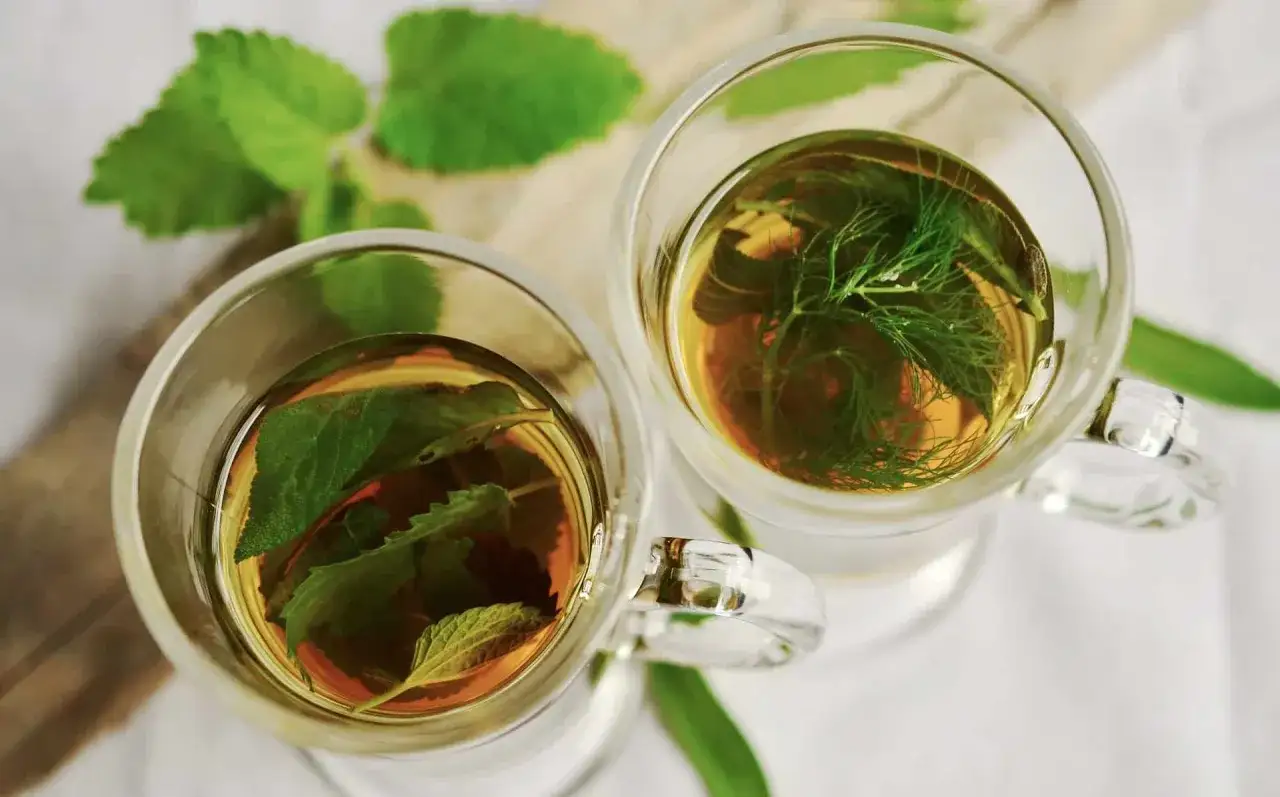Zwei Gl&auml;ser mit Kr&auml;utertee, eines mit Minze, das andere mit Dill. Die Frage 