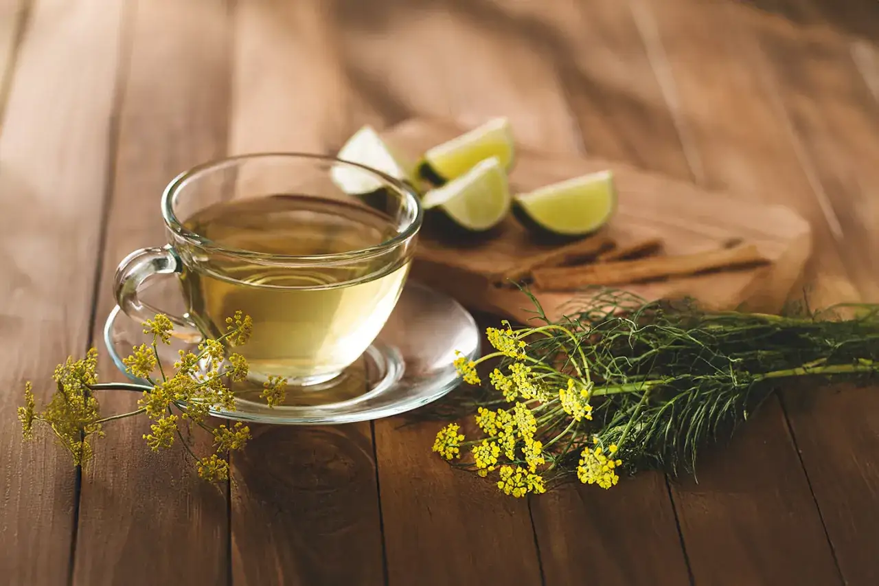 Eine Tasse Fencheltee mit Limettenspalten und Fenchelbl&uuml;ten. Fenchel wirkt sich positiv auf Hormone aus.