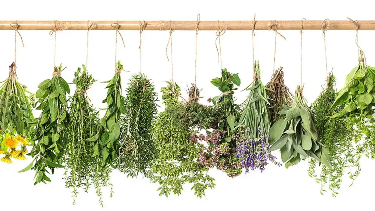 B&uuml;ndel von Kr&auml;utern wie Lavendel und Salbei h&auml;ngen zum Trocknen. Ein Tee aus diesen Kr&auml;utern hilft beim tee einschlafen.