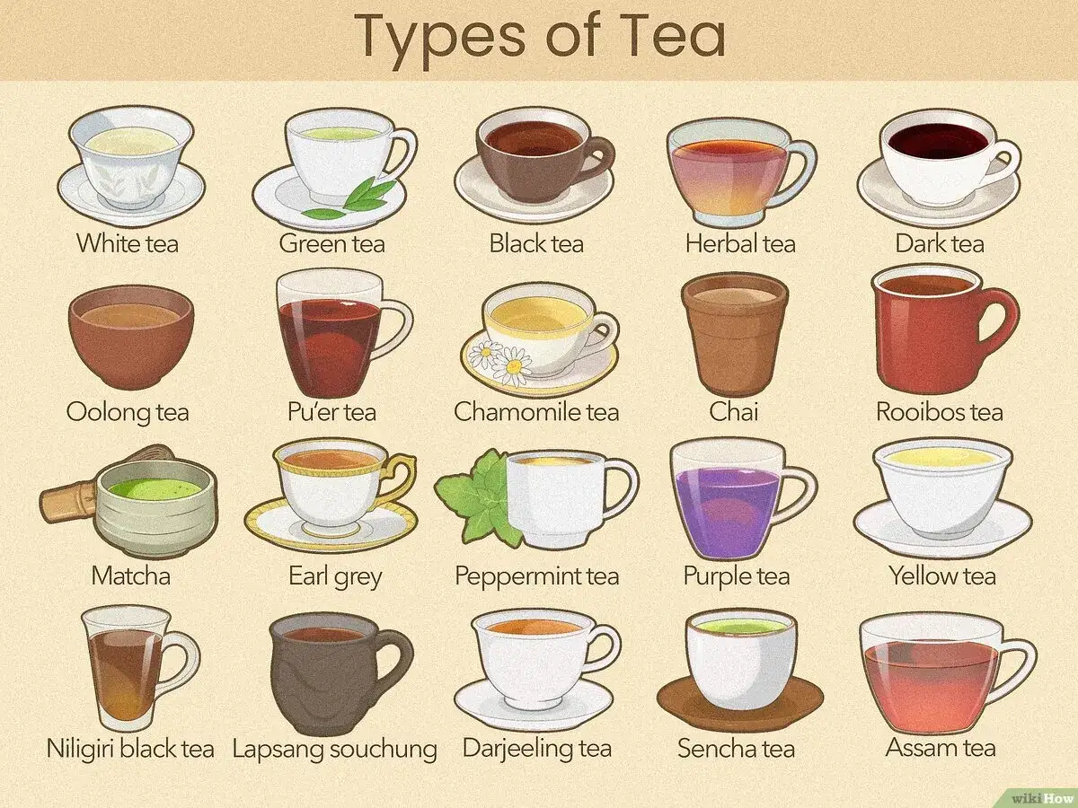 Verschiedene teesorten alphabetisch geordnet: White, Green, Black, Herbal, Dark, Oolong, Pu'er, Chamomile, Chai, Rooibos, Matcha, Earl Grey, Peppermint, Purple, Yellow, Nilgiri, Lapsang Souchong, Darjeeling, Sencha, Assam.