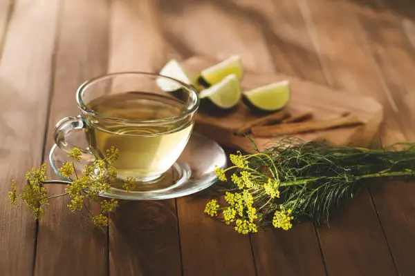 Fencheltee mit Limettenspalten und frischem Fenchel. Die Fenchel Wirkung auf Hormone wird oft geschätzt.