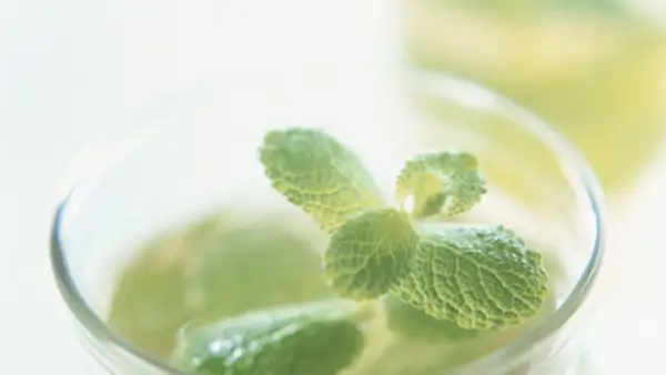 Frischer marokkanischer Minztee, zubereitet mit grünen Minzblättern in einem Glas.