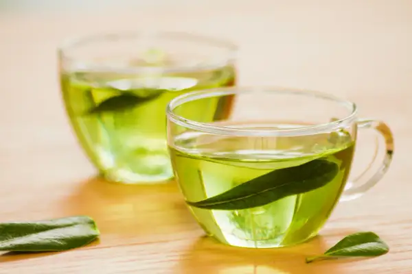 Zwei Gläser mit grünem Tee, welcher Tee regt den Stoffwechsel an? Grüner Tee mit Blättern.